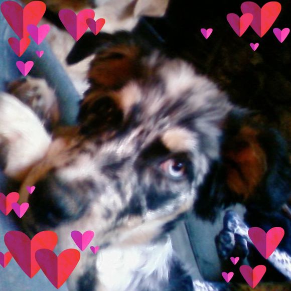 brenda_kirby